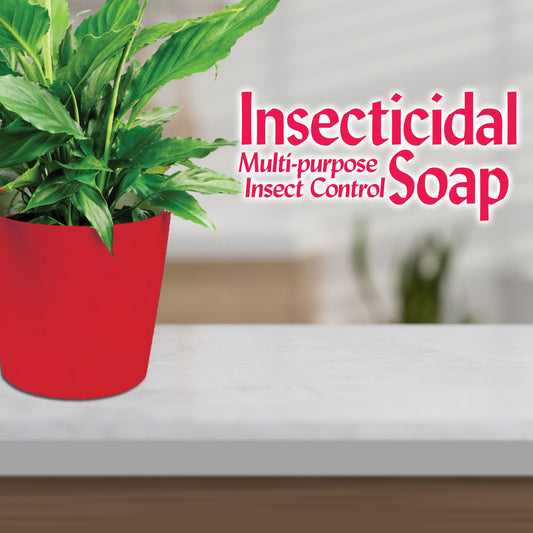 BONIDE Insecticidal Soap RTU Houseplant Spray - 12 oz