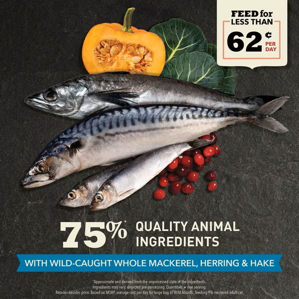 Acana Highest Protein, Wild Atlantic Dry Cat Food