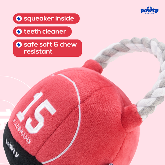 Kettlebell
