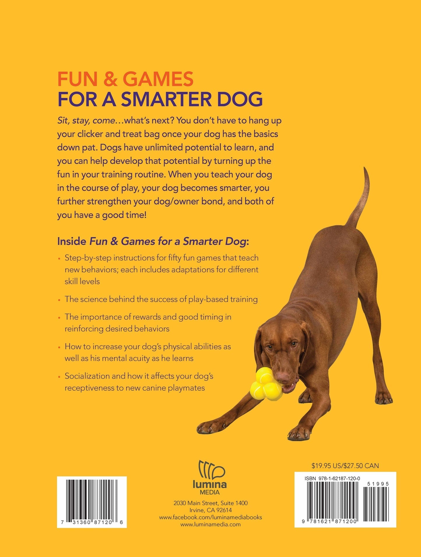 Fun & Games for a Smarter Dog: 50 Great Brain Games to Engage Your Dog by Sophie Collins