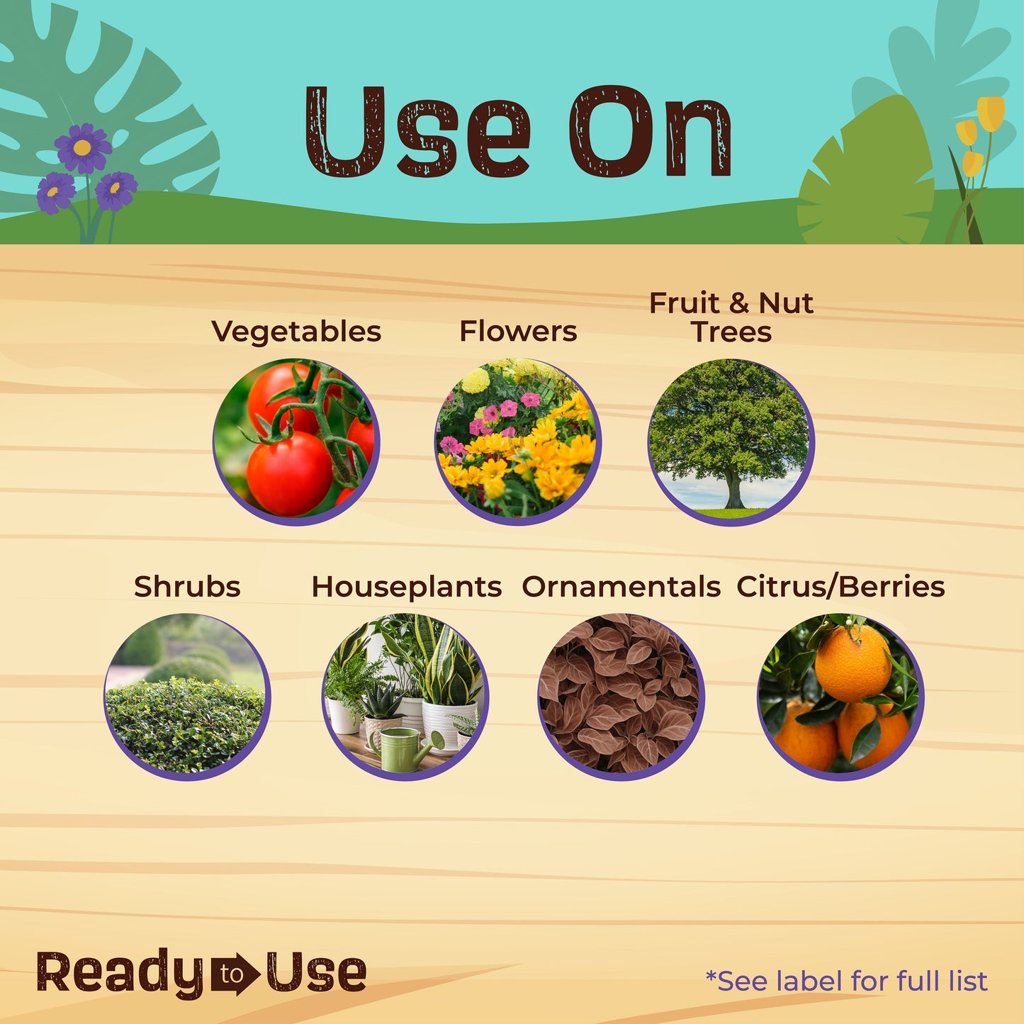 BONIDE Insecticidal Soap RTU Houseplant Spray - 12 oz