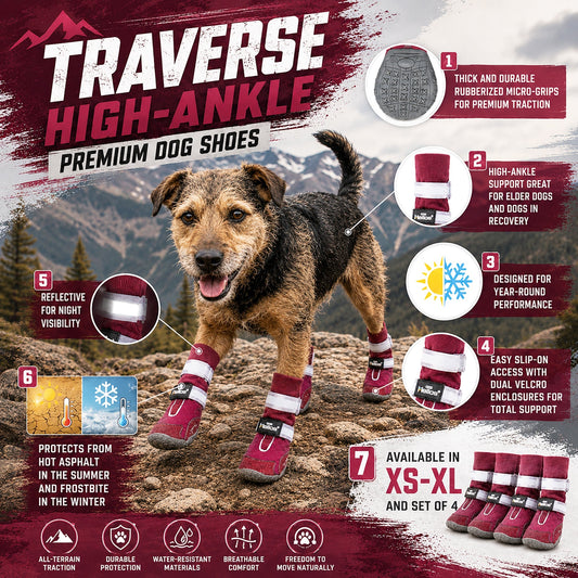 Dog Helios 'Traverse' Premium Grip High-Ankle Outdoor Dog Boots - Set Of 4