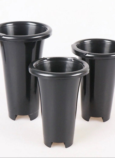 Orchid Pot Set of 4