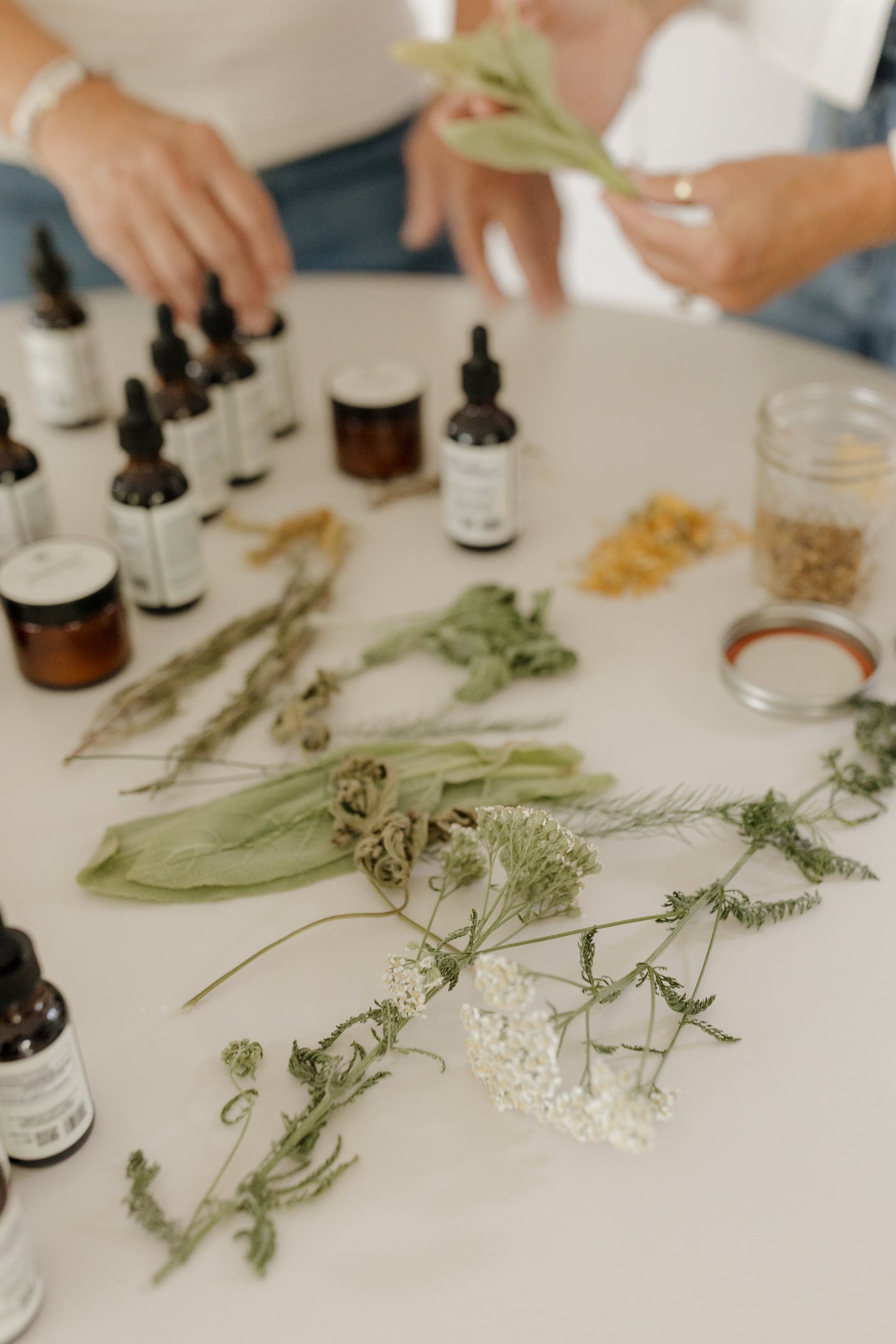Yarrow Tincture