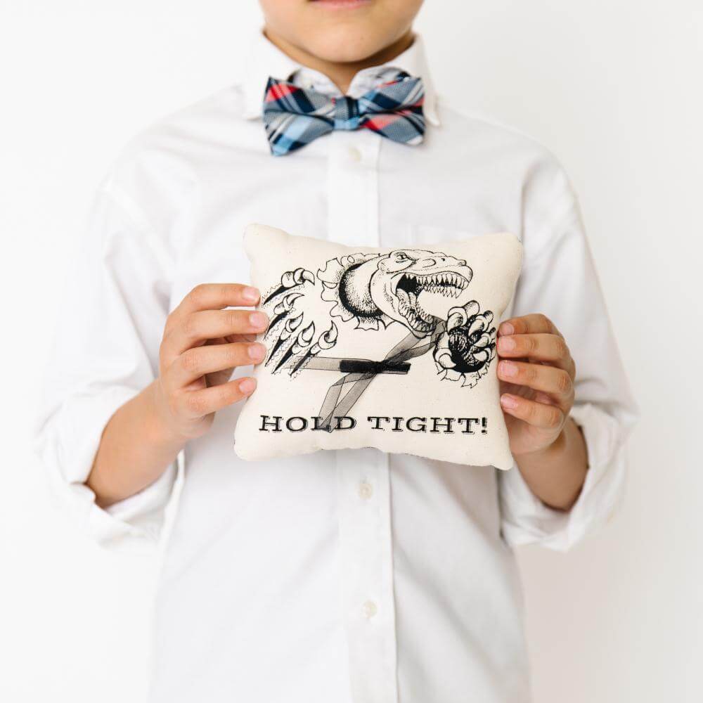 Ring Bearer Pillow Dinosaur: "Perfect for my wedding!"