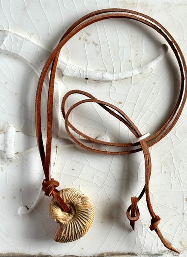 Ammonite on brown leather.