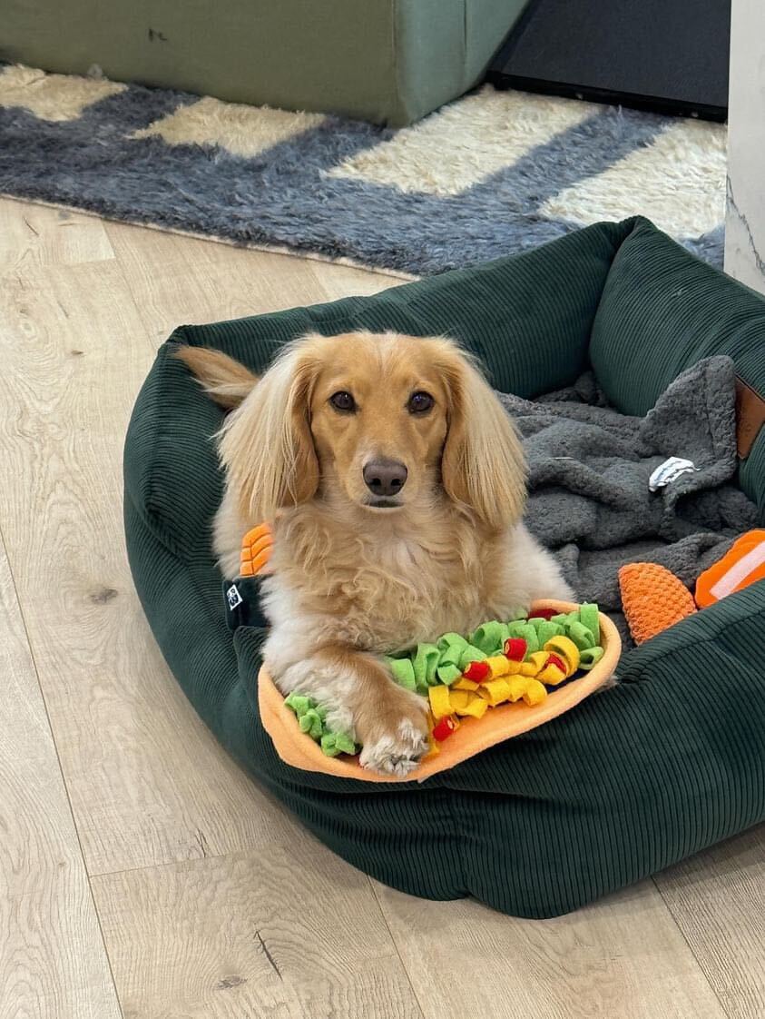 Chewpotle Bowl