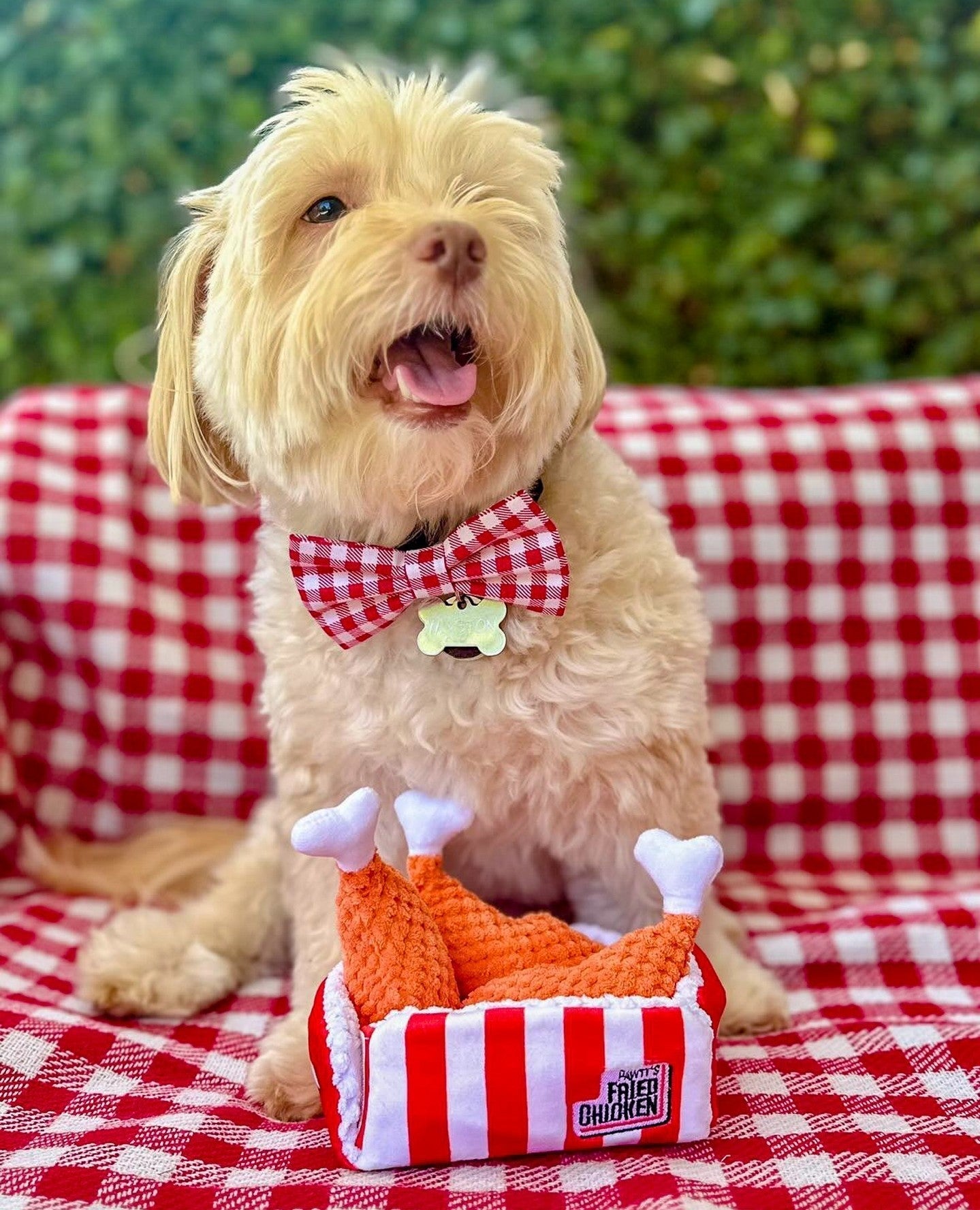 PAWTY Fried Chicken
