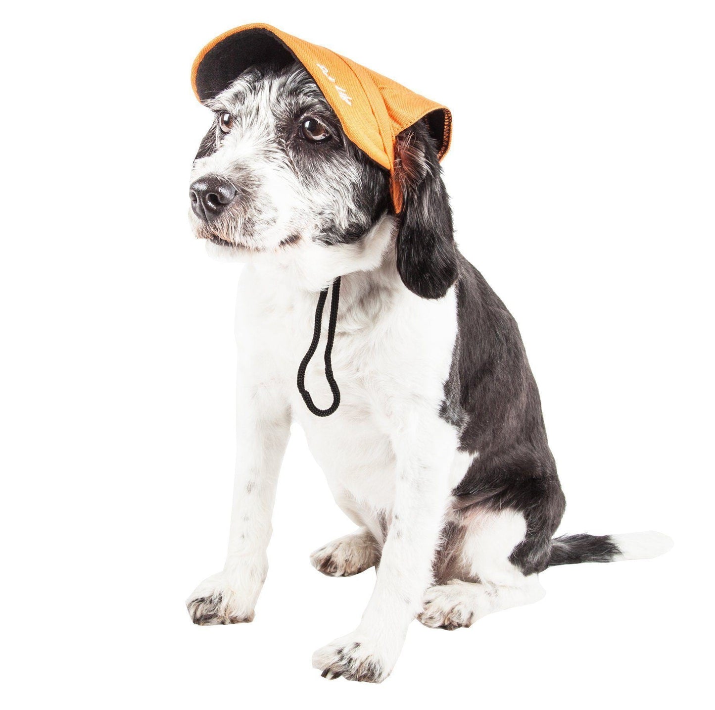 Pet Life ® 'Cap-Tivating' UV Protectant Adjustable Fashion Dog Hat Cap