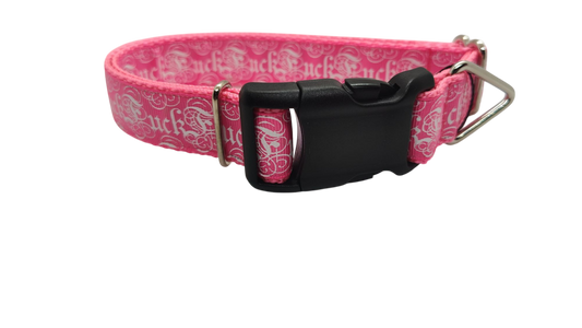 Fuck Pink Nylon Dog Collar