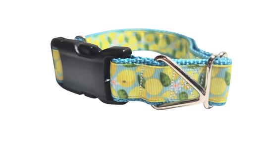 Lemons Nylon Dog Collar