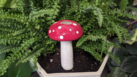 Unique Gifts for Plant Lovers: 10 Picks for 2026