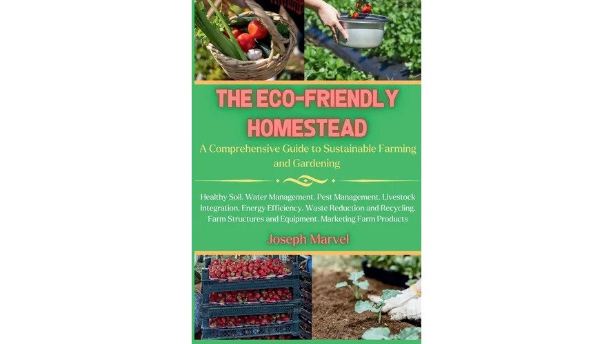 Sustainable Home Goods for Beginners: 10 Easy Swaps