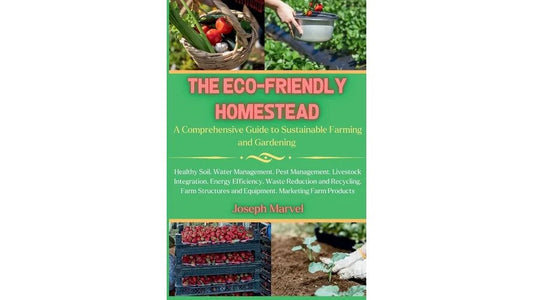 Sustainable Home Goods for Beginners: 10 Easy Swaps
