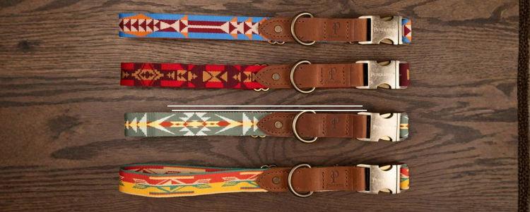 Dog Collars Leashes & Harnesses-