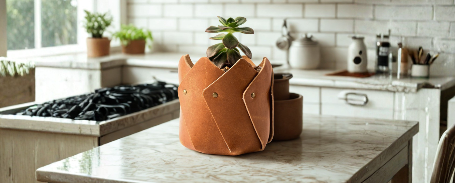 Pots & Planters
