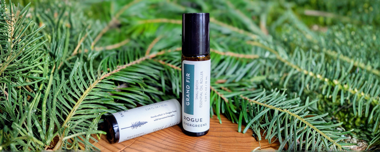 Holiday Gift Ideas Under $35