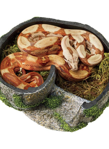 Zilla Rock Lairs 1ea/SMall