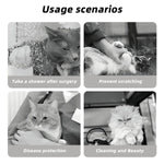 Sebastian & Clementine After-Glow Pet Elizabethan Collar