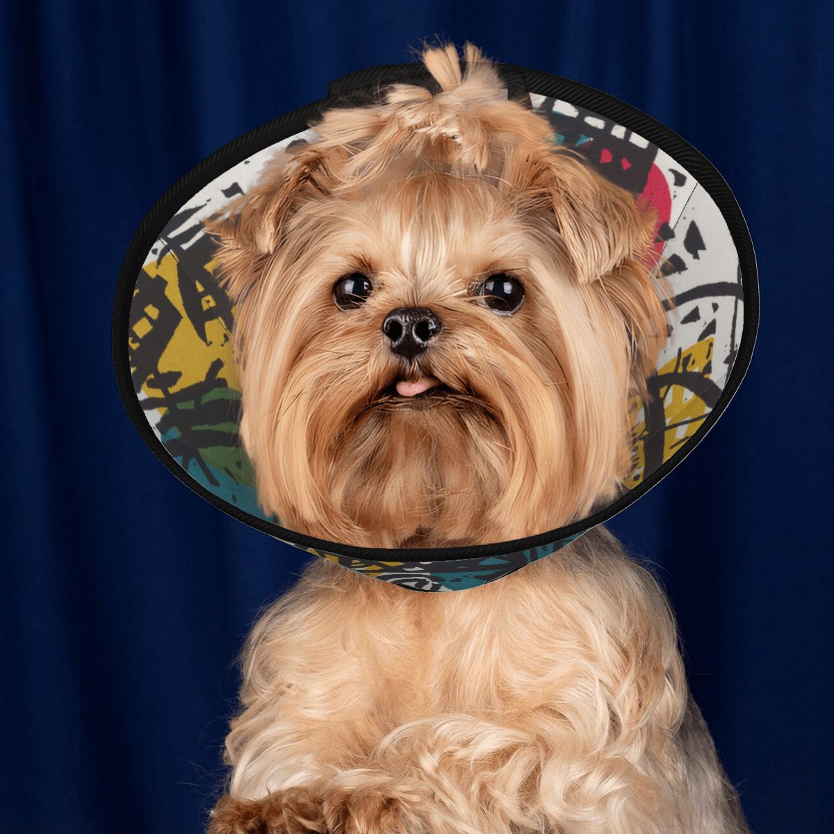 Sebastian & Clementine Small Worlds V Pet Elizabethan Collar