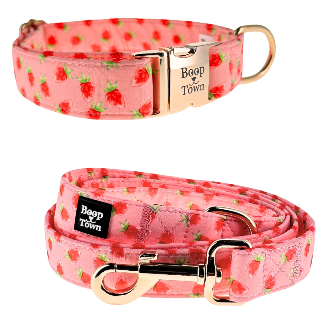 Boop Town Matching Collar and Leash Sets - Soft Cotton with Metal Buckle