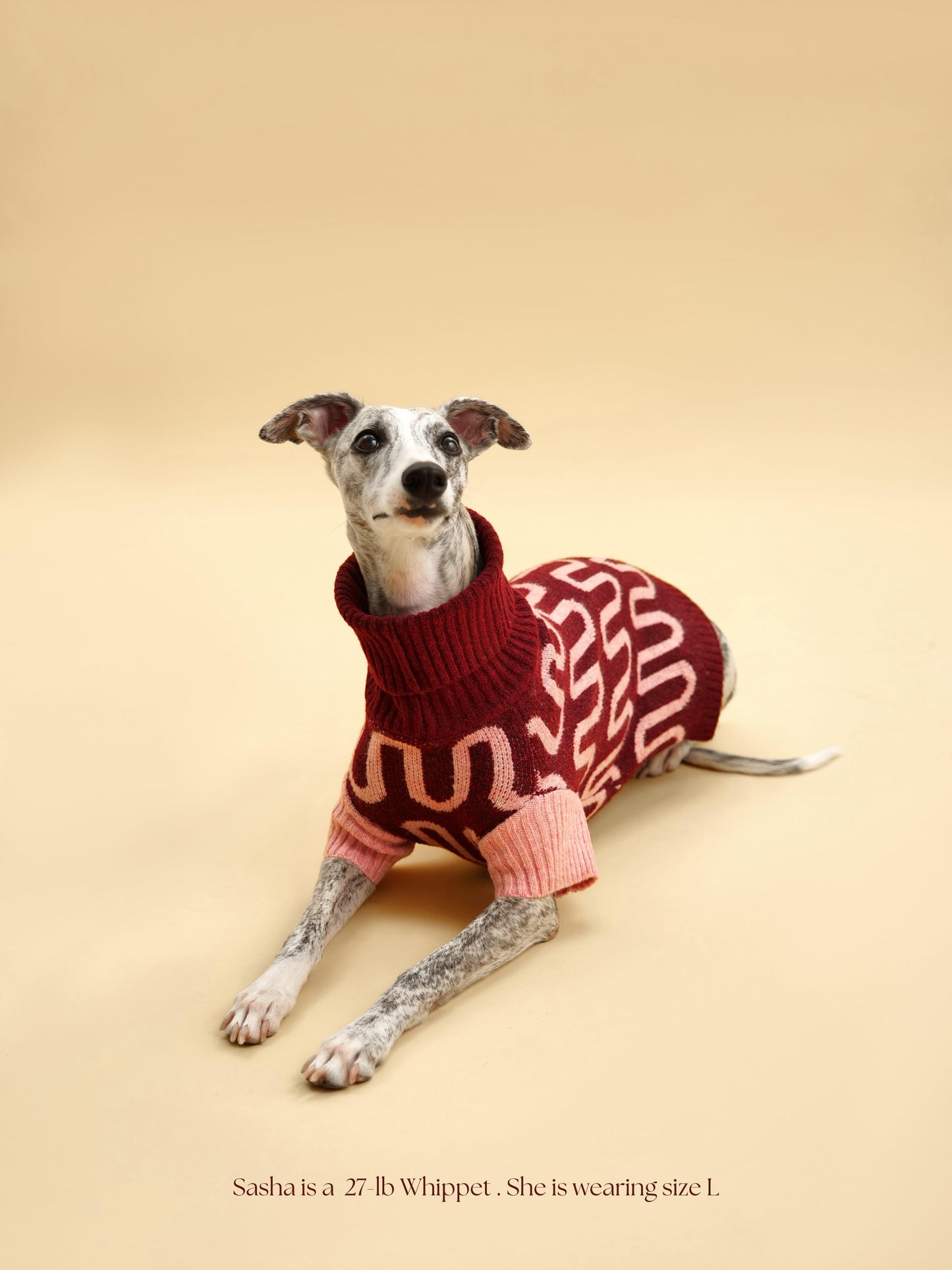 Rosé Bliss Sweater