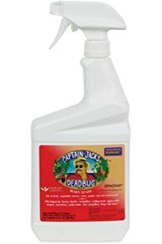 BONIDE Captain Jacks Dead Bug Brew RTU 32oz