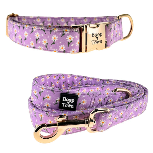 Boop Town Matching Collar and Leash Sets - Soft Cotton with Metal Buckle
