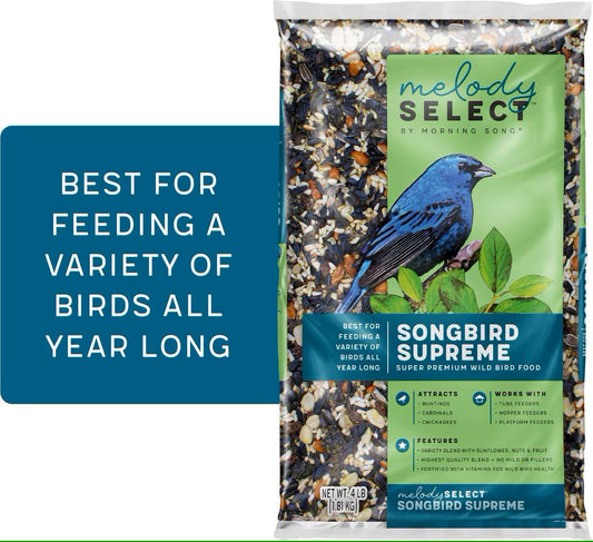 Melody Select Songbird Supreme Bird Seed
