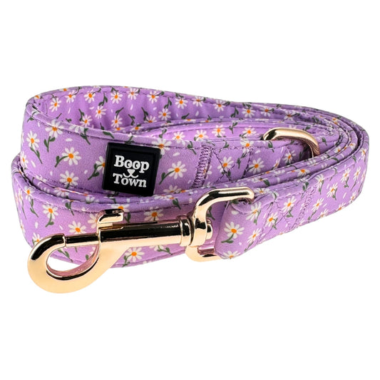 Dog Leashes