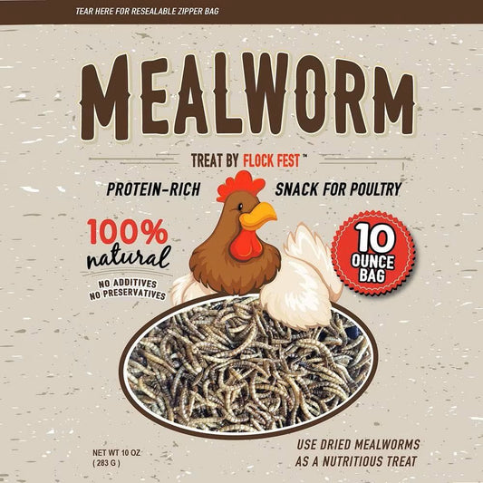 Flock Fest Mealworms