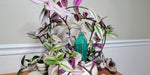 Tall Crystal Plant Watering Spike