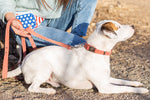 Pro Line Quick-Release Coral Reef Leather Dog Collar with Metal Buckle