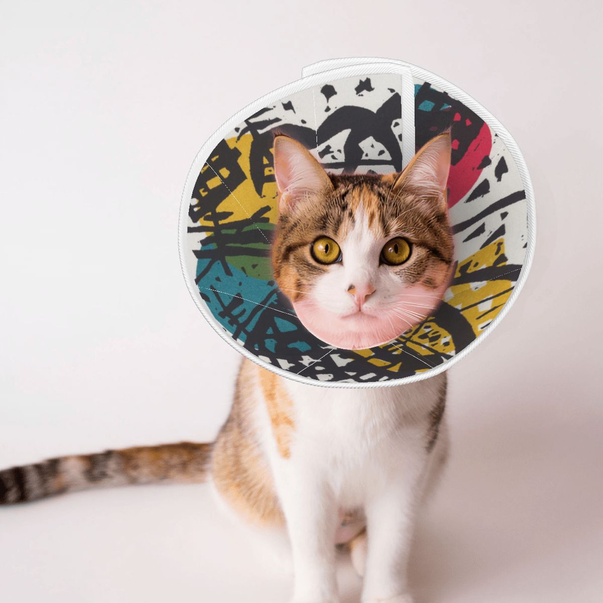 Sebastian & Clementine Small Worlds V Pet Elizabethan Collar