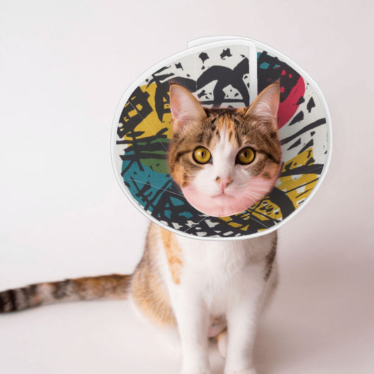 Sebastian & Clementine Small Worlds V Pet Elizabethan Collar