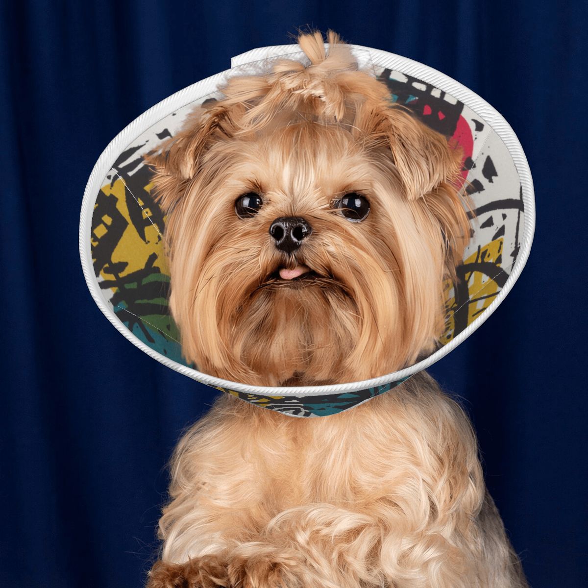 Sebastian & Clementine Small Worlds V Pet Elizabethan Collar