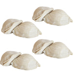 Mini Italian Sfogliatelle Take and Bake Pastries