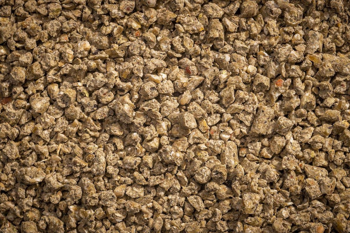 Modesto Milling Layer Crumbles NonCorn NonSoy 25lb - 953
