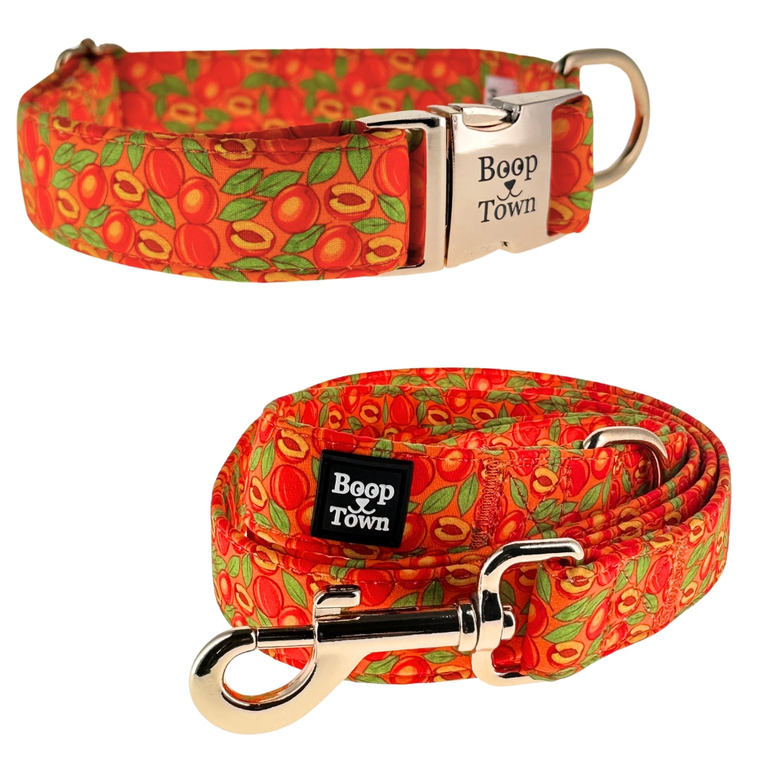 Boop Town Matching Collar and Leash Sets - Soft Cotton with Metal Buckle