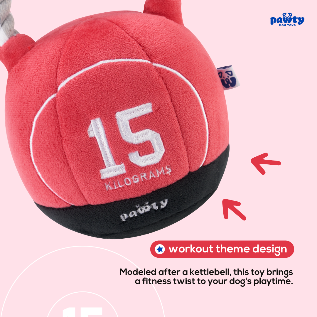 Kettlebell