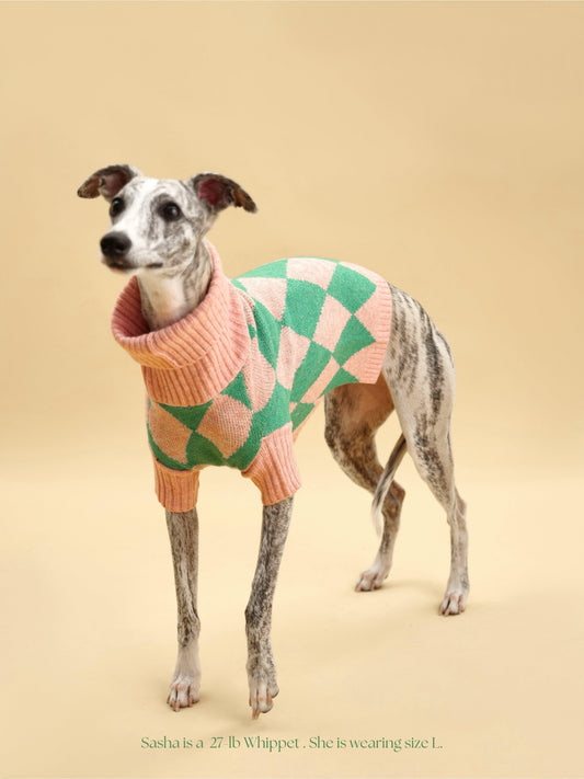 Sunday Brunch in Brooklyn Sweater