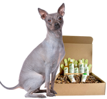 4-HAIRLESS PETS *DOG RESTORATIVE KIT