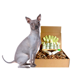 4-HAIRLESS PETS *DOG RESTORATIVE KIT