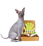 4-HAIRLESS PETS *DOG RESTORATIVE KIT