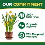 Espoma Organic Cactus Mix – 3 Pack (4qt)