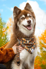 Foxes in Fall Wristlet Keychain