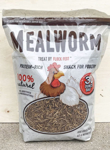 Flock Fest Mealworms