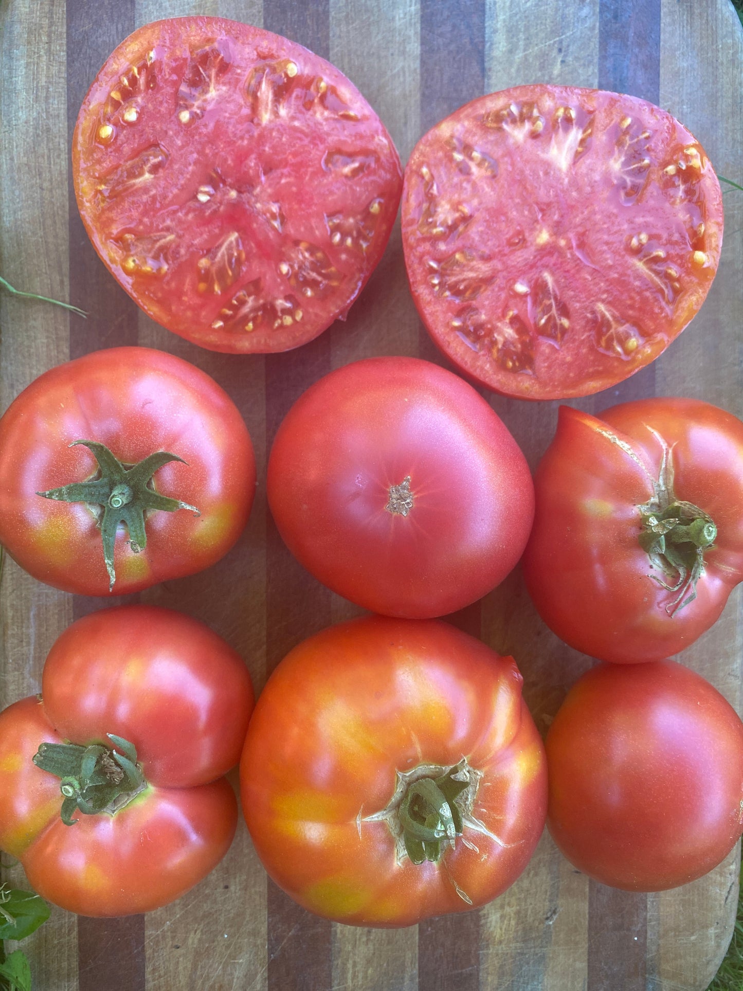 Berner Rose Heirloom Tomato
