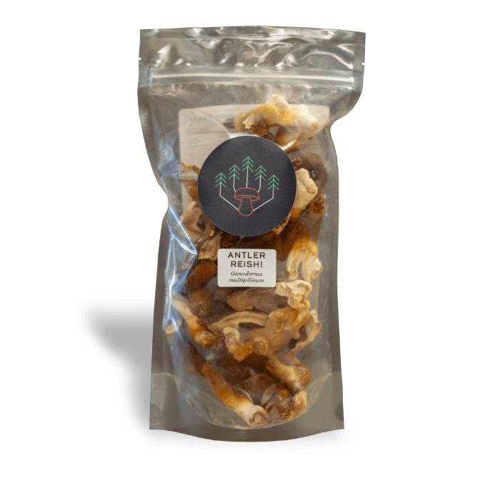 Medicinal Bundle — Two Kits & Two Dried