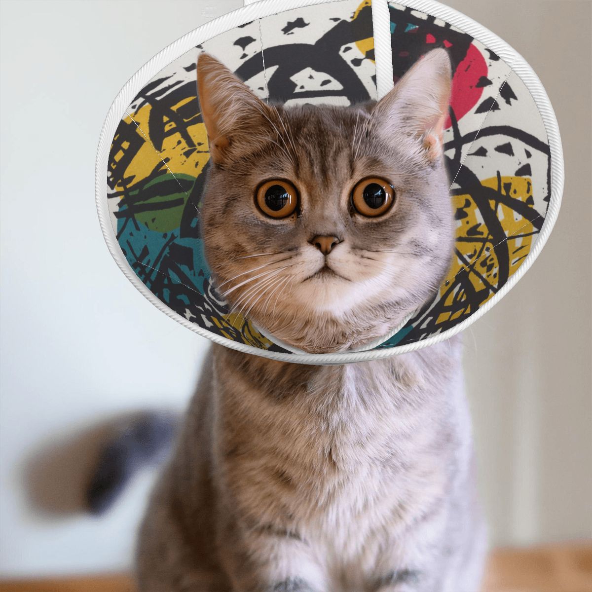 Sebastian & Clementine Small Worlds V Pet Elizabethan Collar